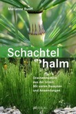 Schachtelhalm Schachtelhalm