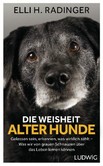 Die Weisheit alter Hunde Die Weisheit alter Hunde