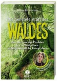 Die heilende Kraft des Waldes Die heilende Kraft des Waldes