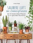 Saubere Luft mit Zimmerpflanzen