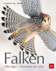 Falken Falken