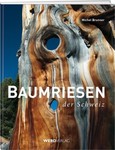 Baumriesen der Schweiz Baumriesen der Schweiz
