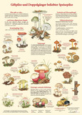 Poster Giftpilze (digital) Poster Giftpilze (digital)