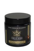 Chaga + Mumijo Multi-Super-Extrakt