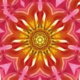 Paradieskarte "Dahlie" Paradieskarte "Dahlie"