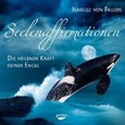 Seelenaffirmationen, Audio-CD Seelenaffirmationen, Audio-CD